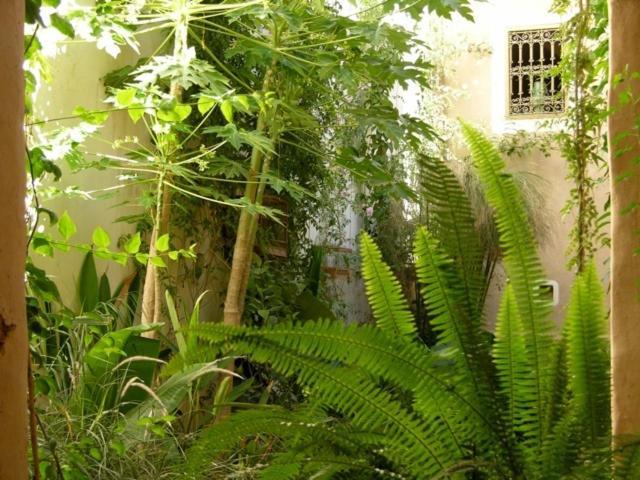 Hotel Dar Zahia Taroudant Exterior foto