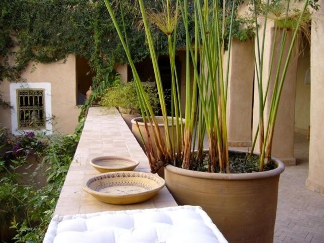 Hotel Dar Zahia Taroudant Exterior foto