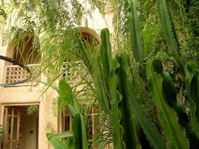 Hotel Dar Zahia Taroudant Exterior foto