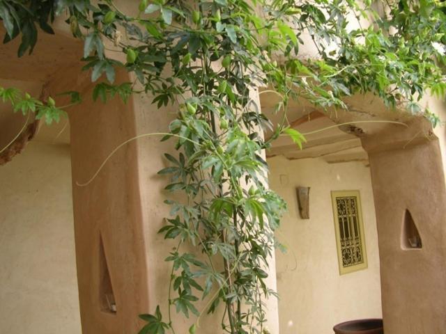 Hotel Dar Zahia Taroudant Exterior foto