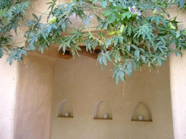 Hotel Dar Zahia Taroudant Exterior foto