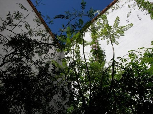 Hotel Dar Zahia Taroudant Exterior foto